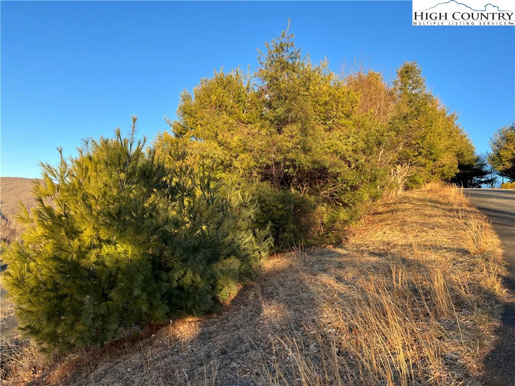 Image number 3 for the current listing