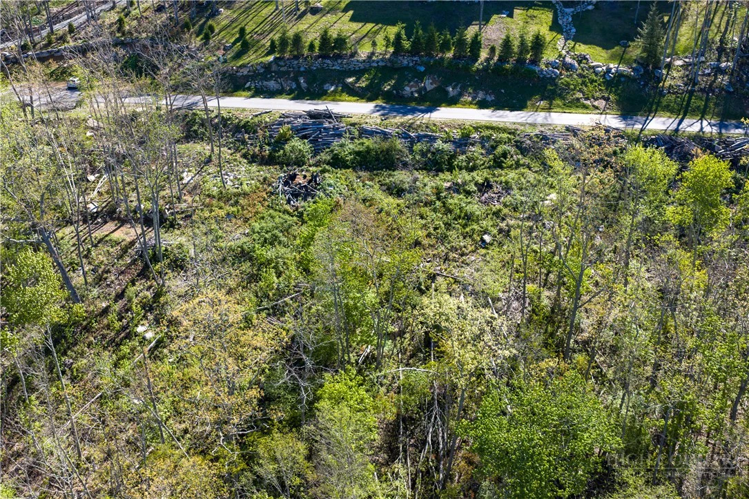 Image number 7 for the current listing