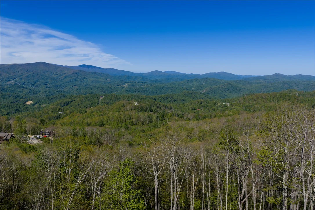Image number 9 for the current listing