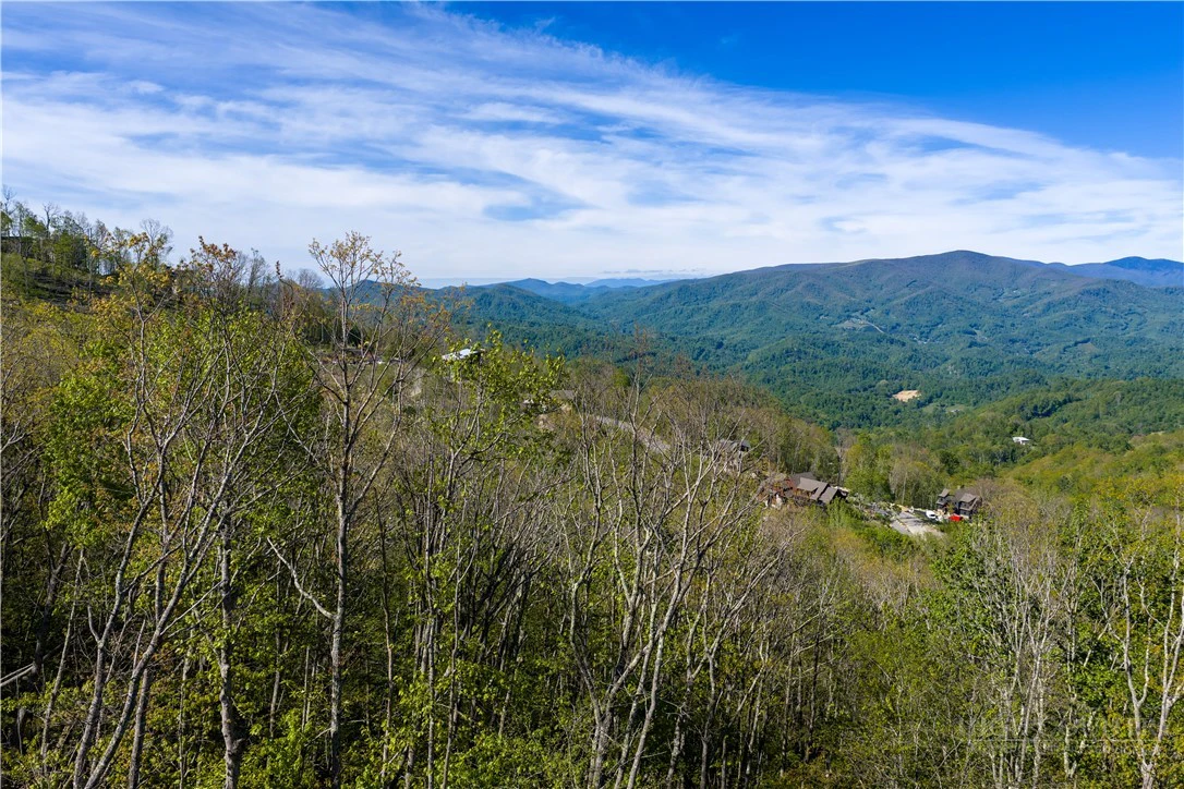 Image number 2 for the current listing