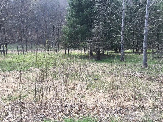 Image number 4 for the current listing
