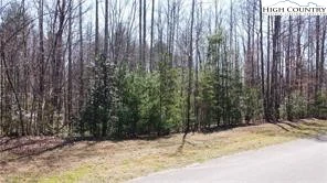 Image number 1 for the current listing
