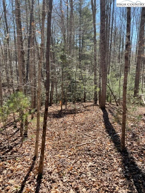 Image number 4 for the current listing