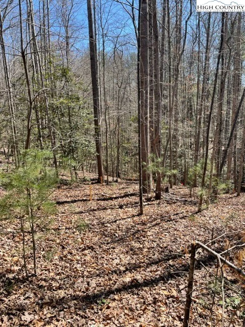 Image number 9 for the current listing