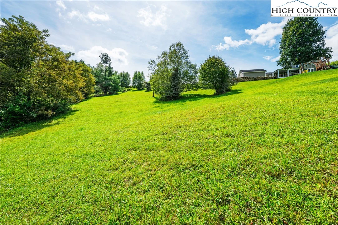 Image number 10 for the current listing