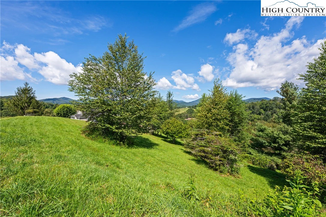 Image number 8 for the current listing