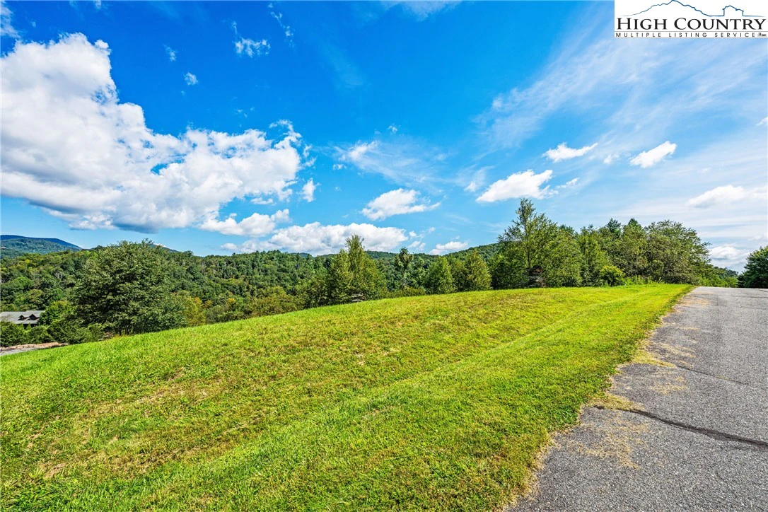 Image number 14 for the current listing