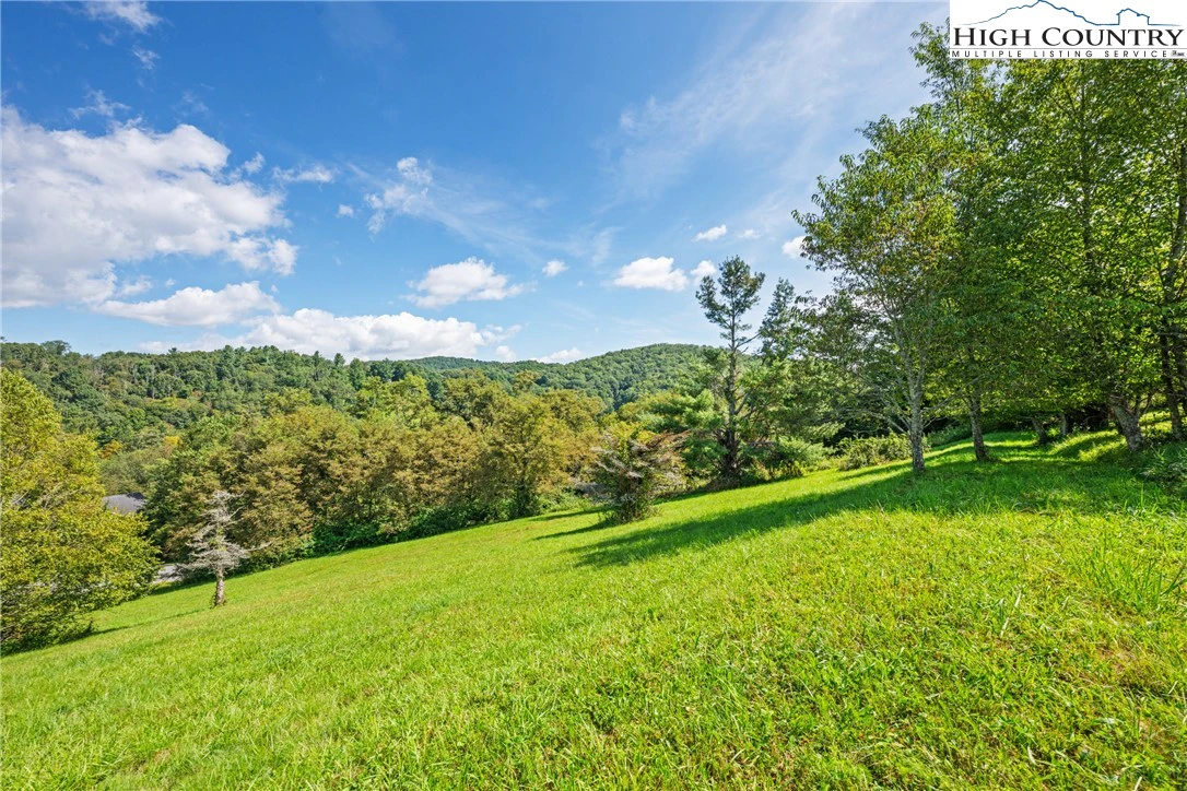 Image number 12 for the current listing