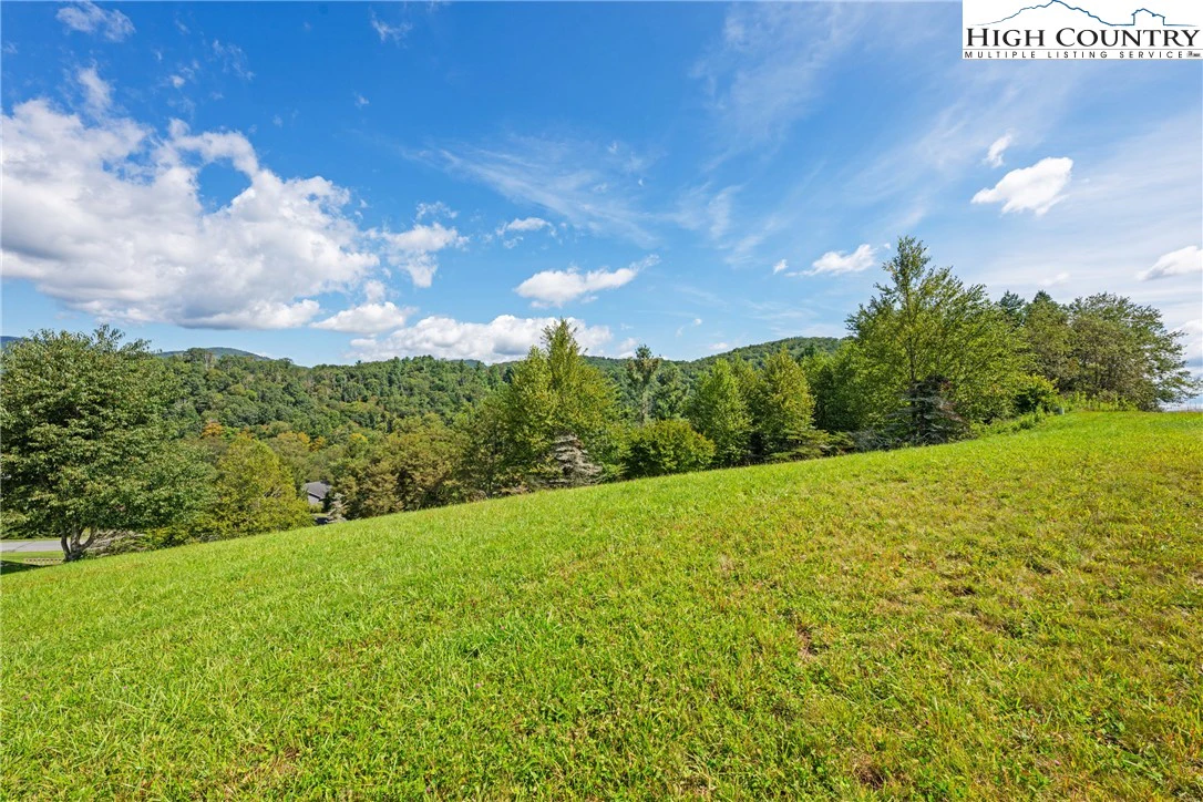 Image number 16 for the current listing