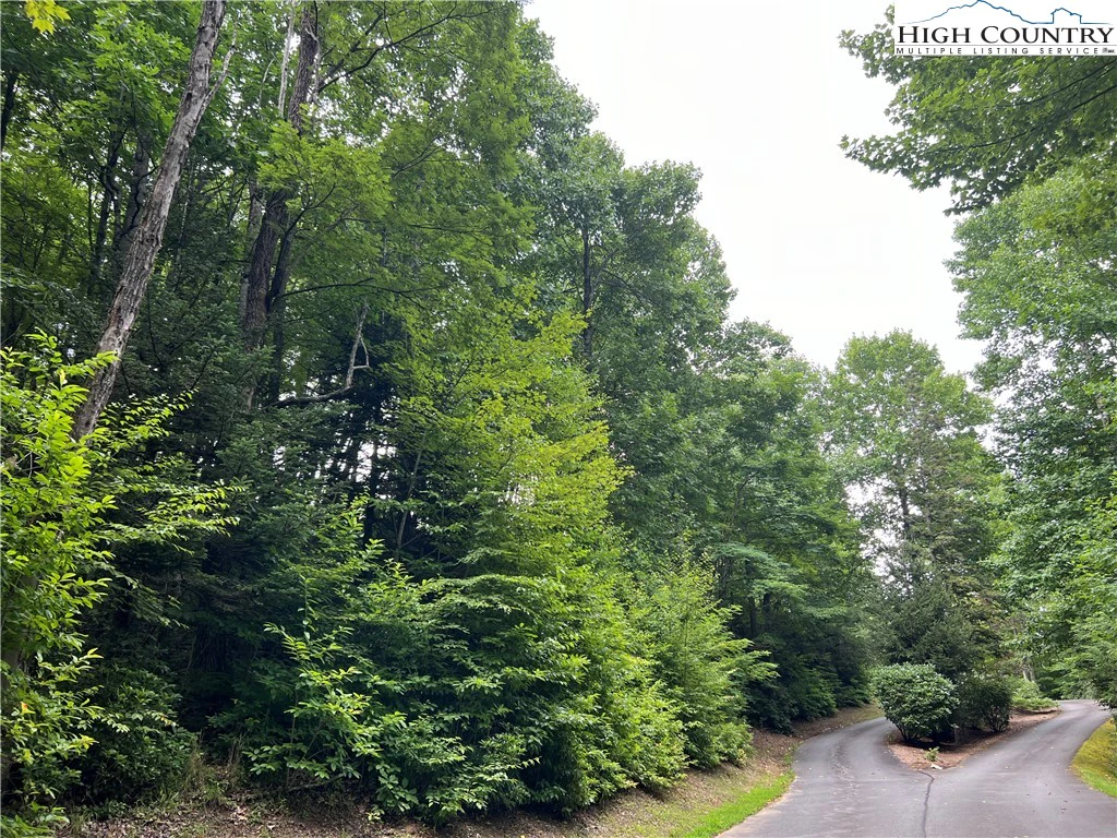 Image number 3 for the current listing