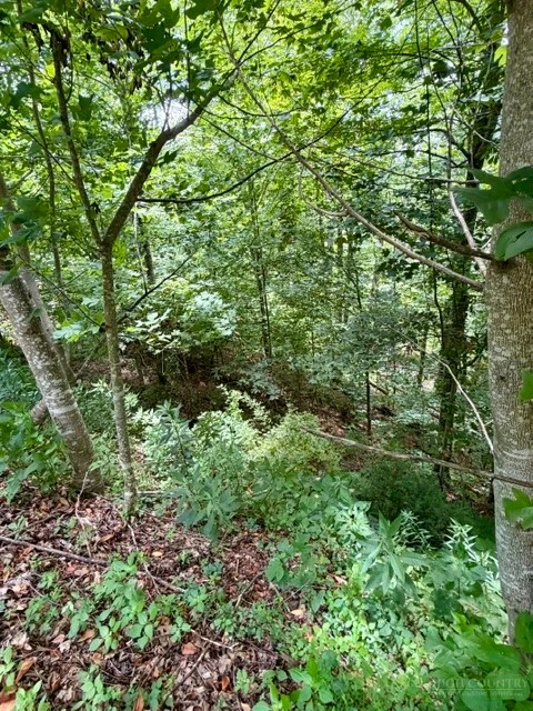 Image number 5 for the current listing