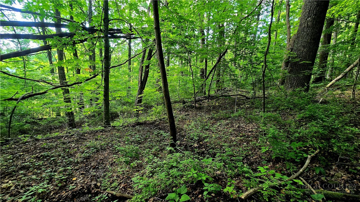 Image number 6 for the current listing