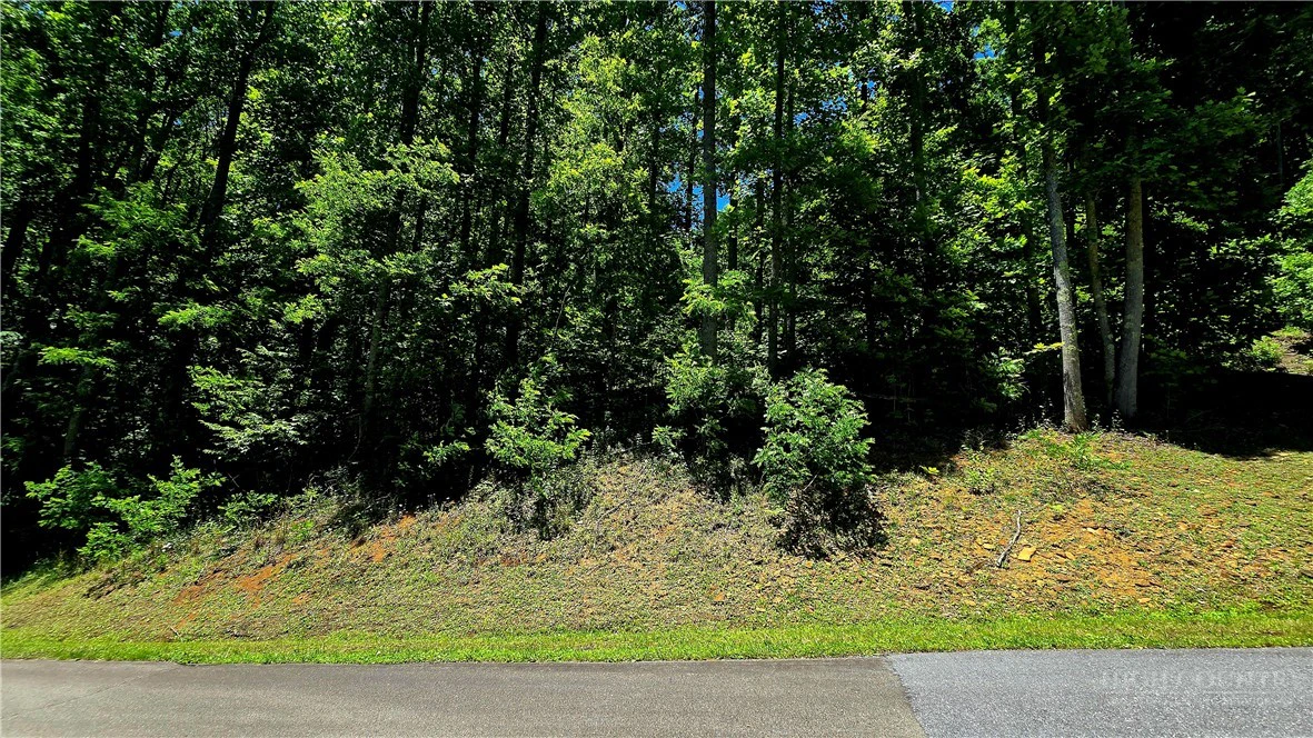 Image number 2 for the current listing