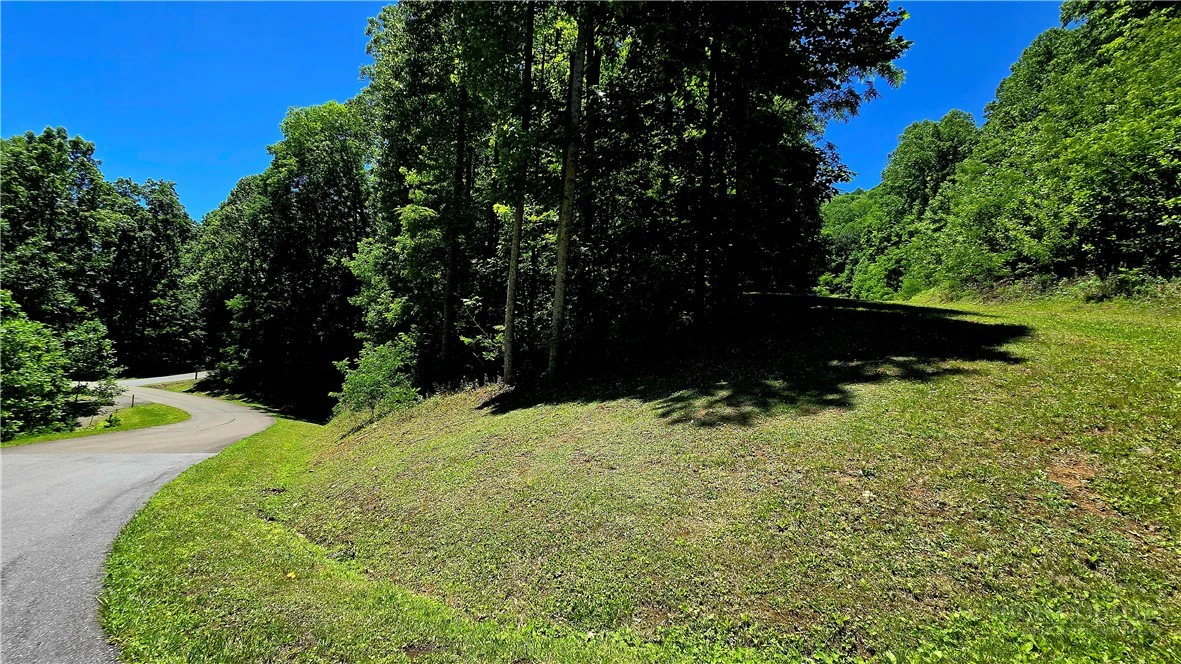 Image number 3 for the current listing