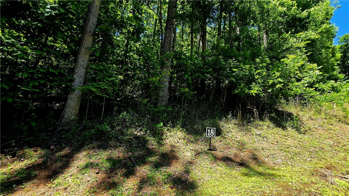 Image number 4 for the current listing