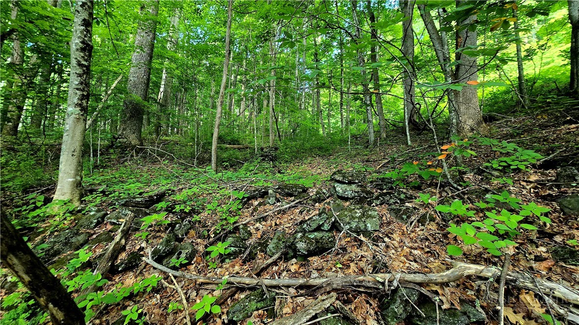 Image number 5 for the current listing