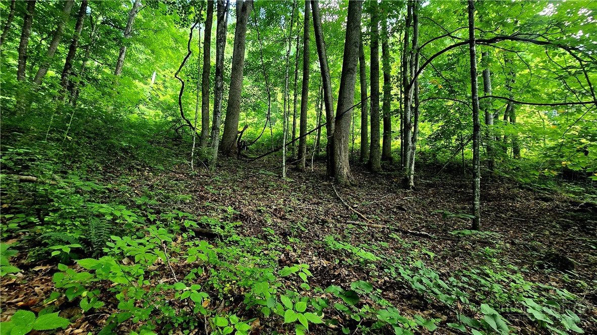 Image number 14 for the current listing