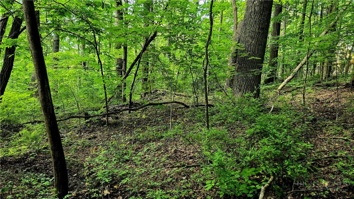 Image number 17 for the current listing