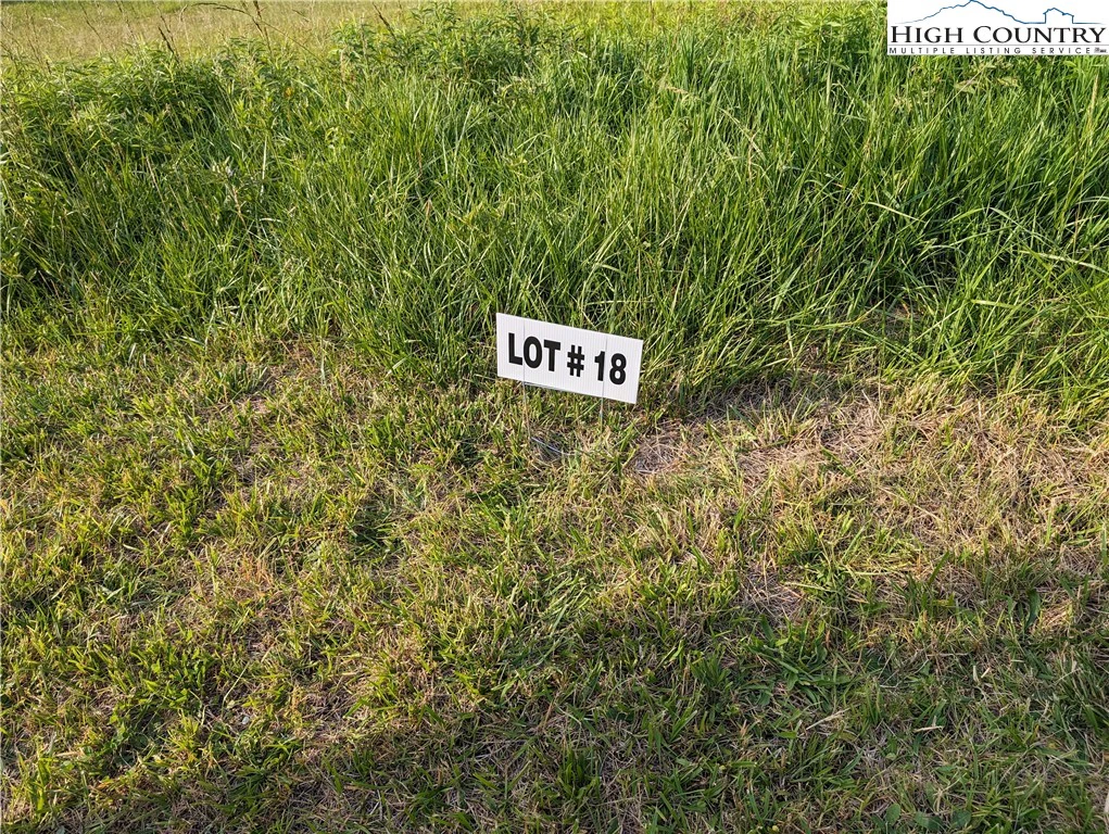 Image number 1 for the current listing