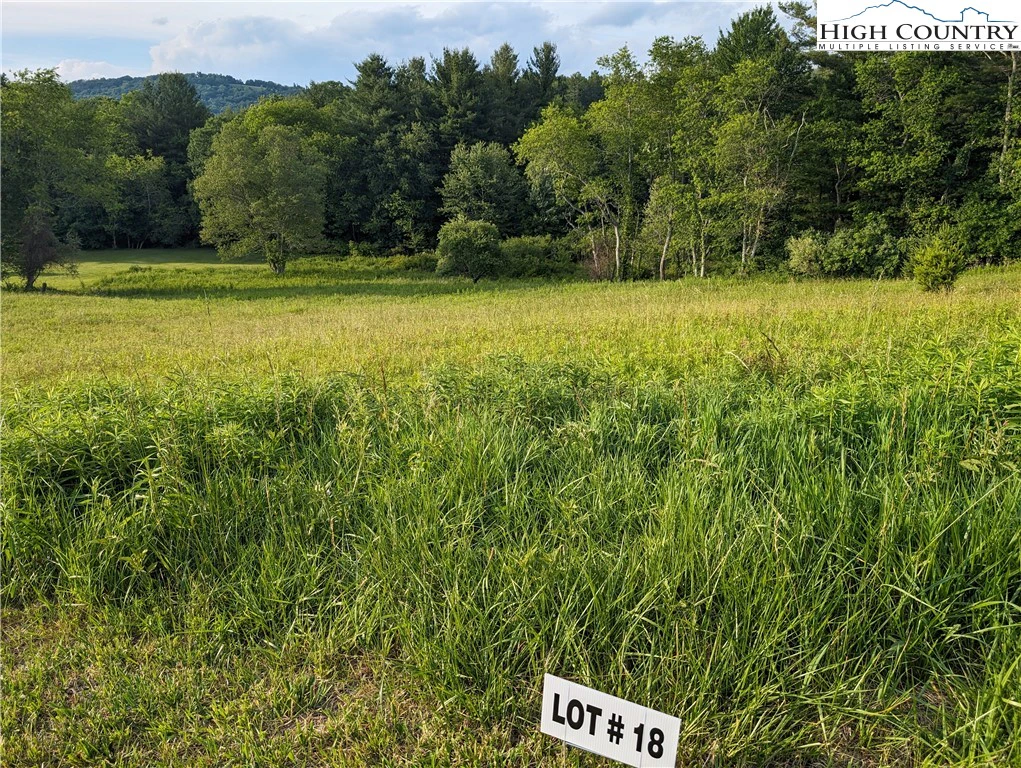 Image number 2 for the current listing