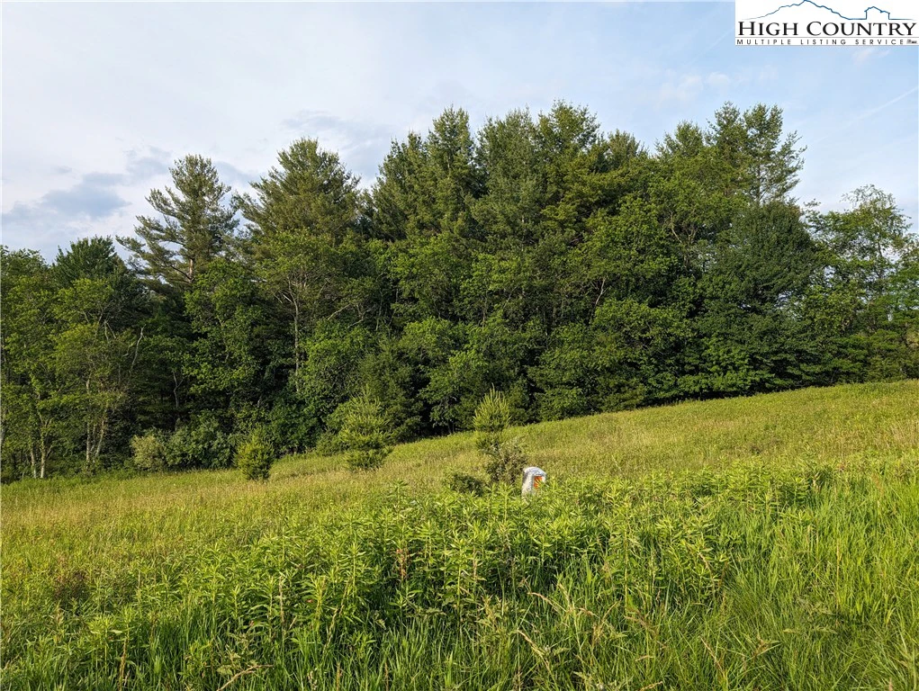 Image number 3 for the current listing