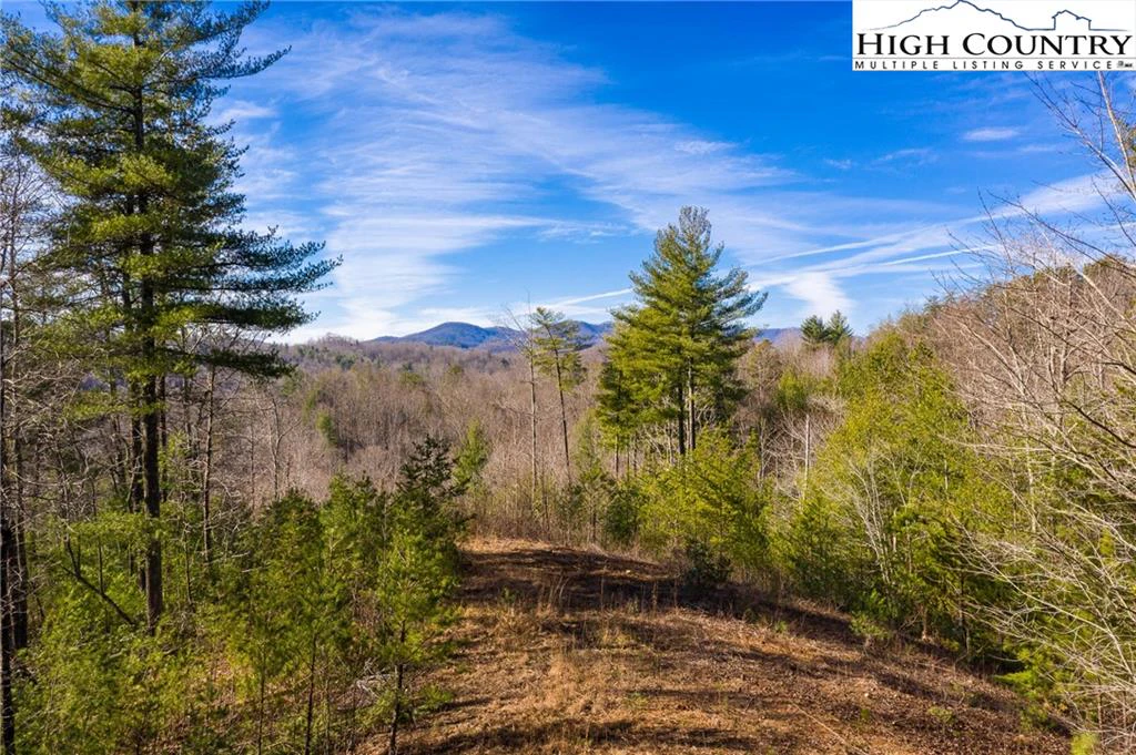 Image number 1 for the current listing