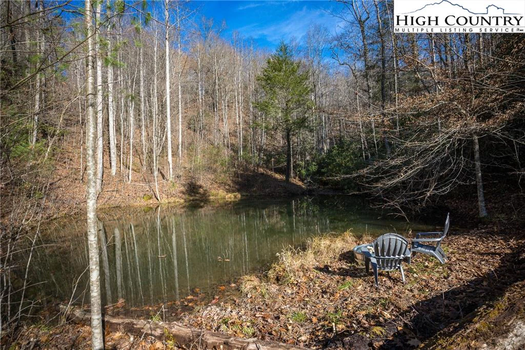 Image number 11 for the current listing