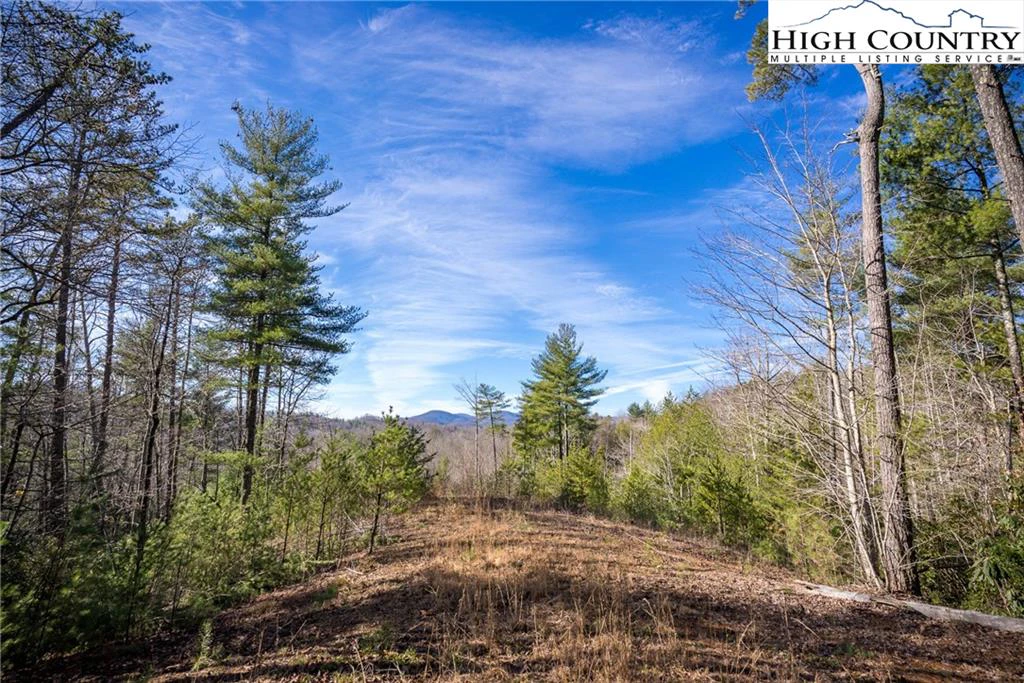 Image number 9 for the current listing