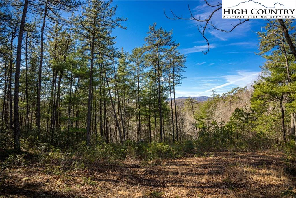 Image number 12 for the current listing