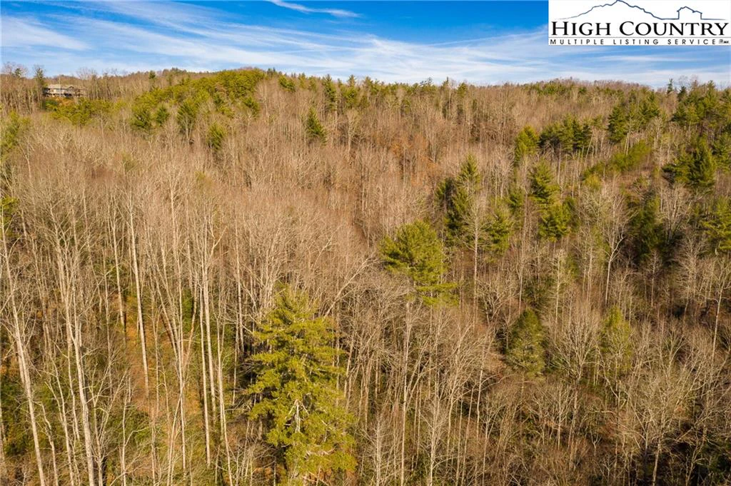 Image number 2 for the current listing