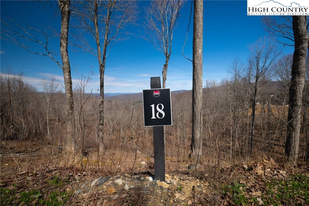 Image number 1 for the current listing