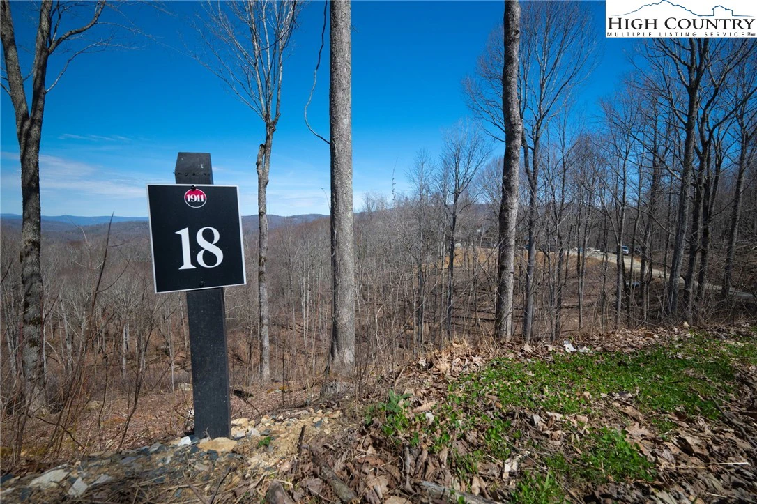 Image number 17 for the current listing
