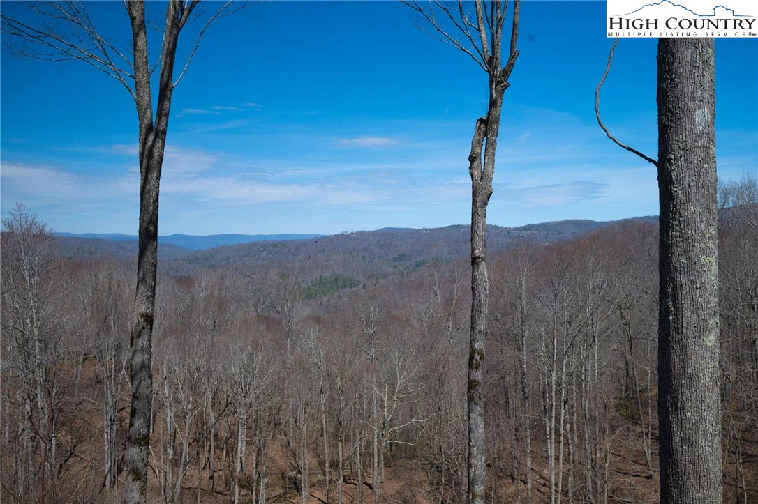 Image number 16 for the current listing