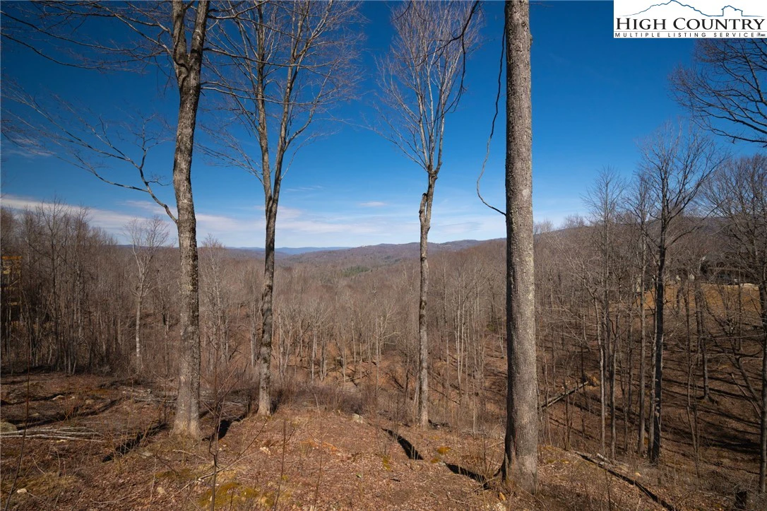 Image number 15 for the current listing