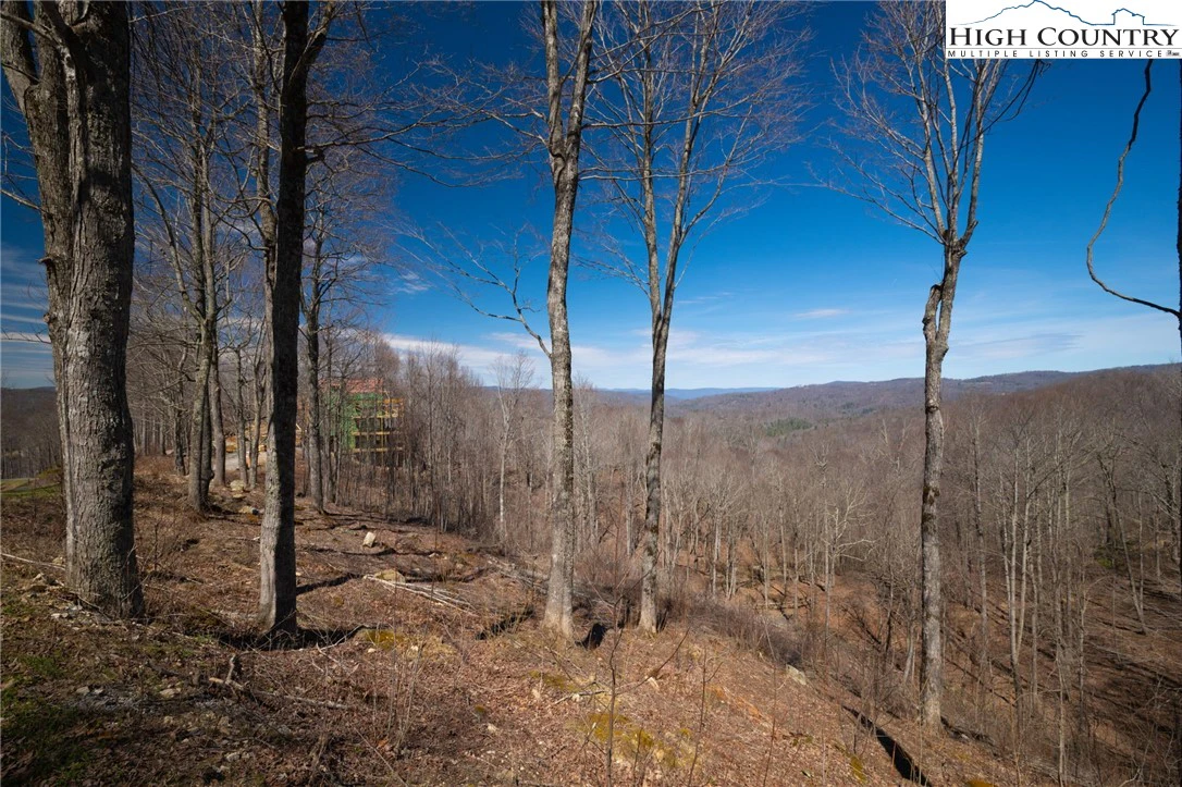 Image number 14 for the current listing