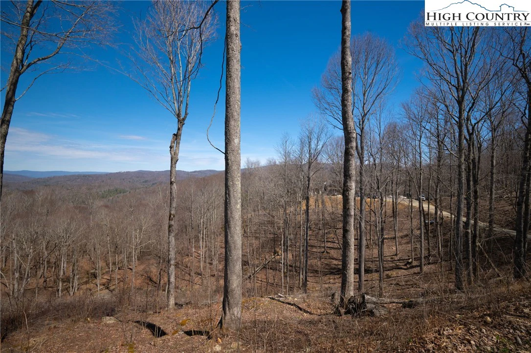 Image number 13 for the current listing