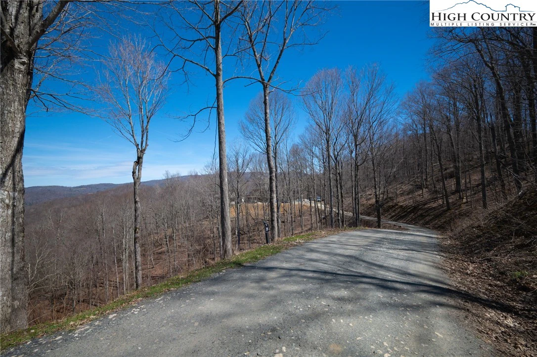 Image number 12 for the current listing