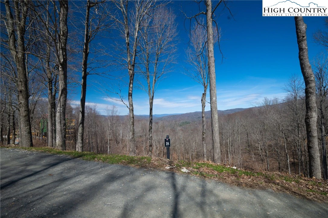 Image number 2 for the current listing