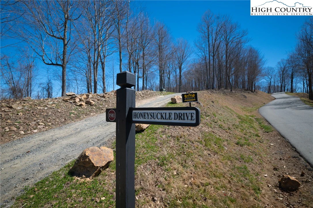 Image number 8 for the current listing