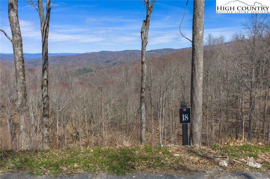 Image number 7 for the current listing