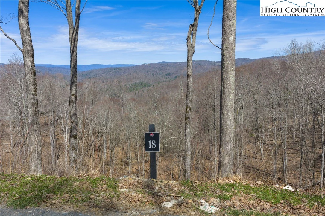 Image number 6 for the current listing