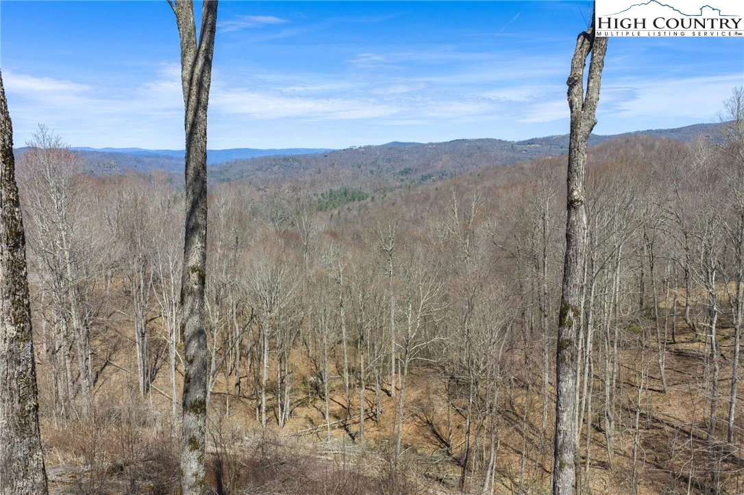 Image number 5 for the current listing