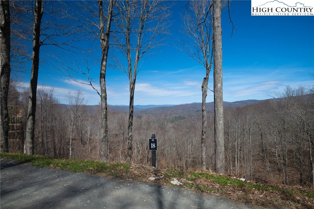 Image number 11 for the current listing