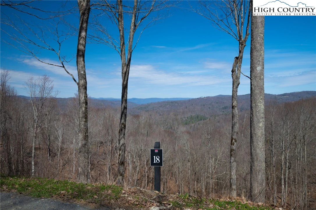 Image number 10 for the current listing