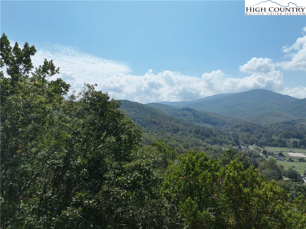Image number 1 for the current listing