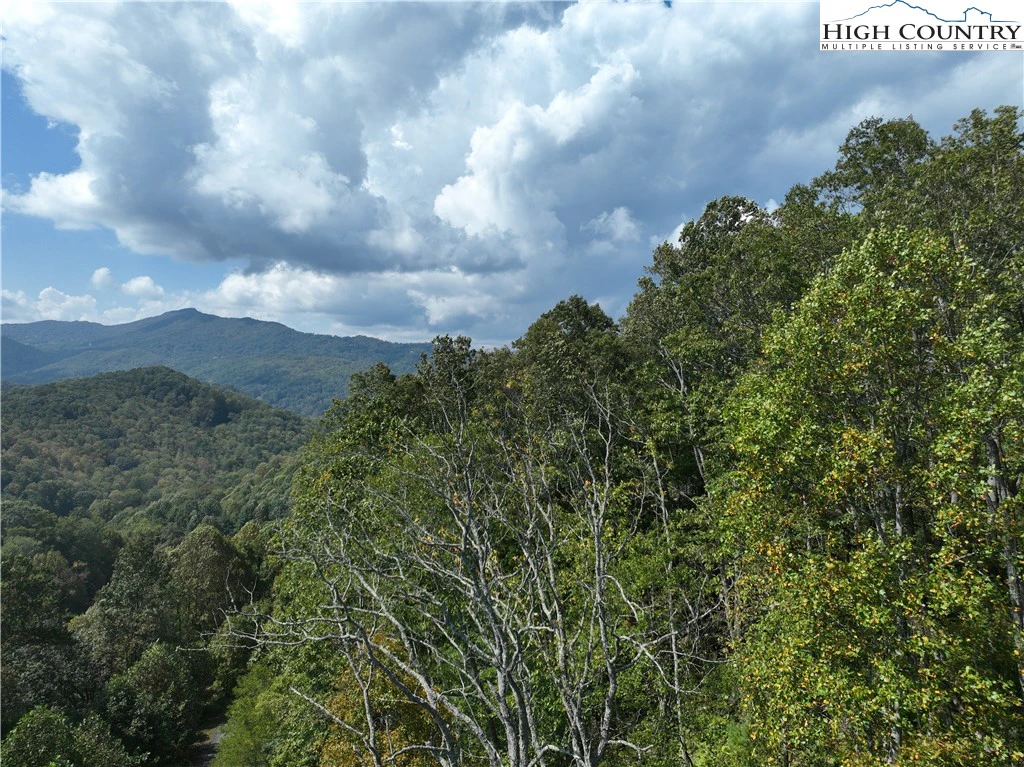 Image number 15 for the current listing