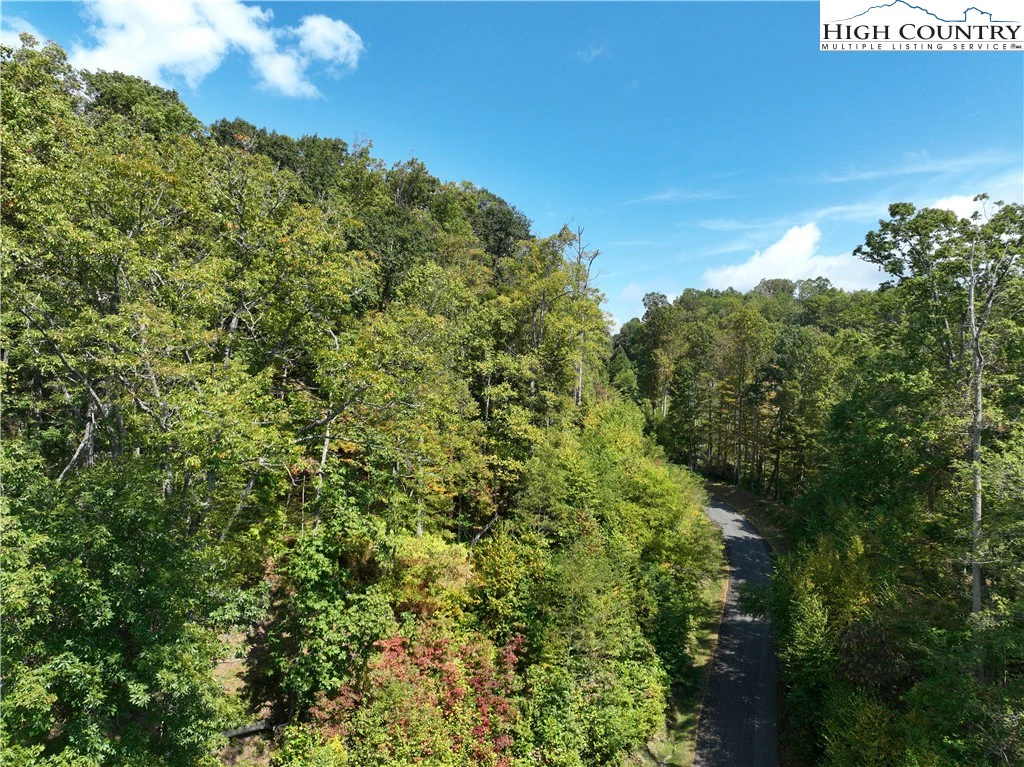 Image number 6 for the current listing