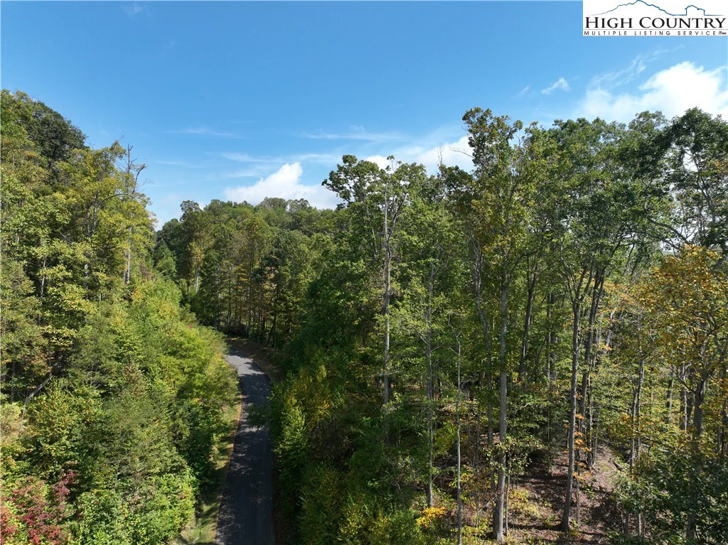 Image number 3 for the current listing