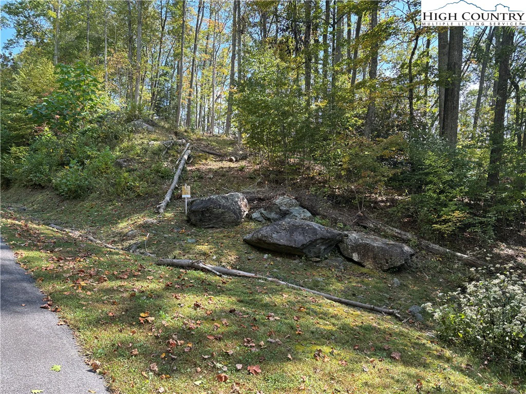 Image number 20 for the current listing
