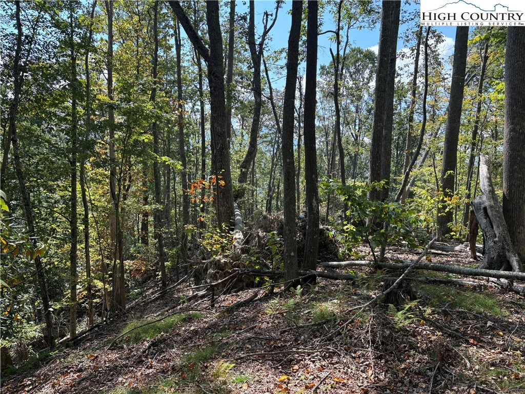 Image number 14 for the current listing